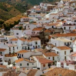 aerial view of city during daytime