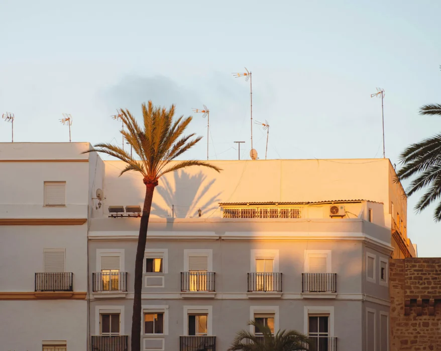 Buildings are bathed in golden hour sunlight.