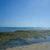 Clear blue sky over a rocky coastline at low tide.