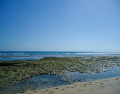 Clear blue sky over a rocky coastline at low tide.