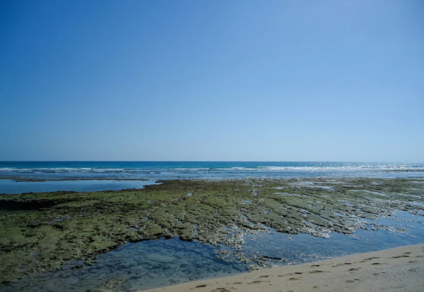 Clear blue sky over a rocky coastline at low tide.