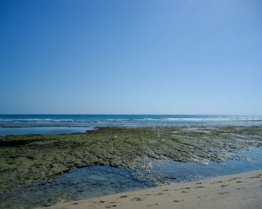 Clear blue sky over a rocky coastline at low tide.