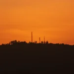 silhouette of trees during sunset