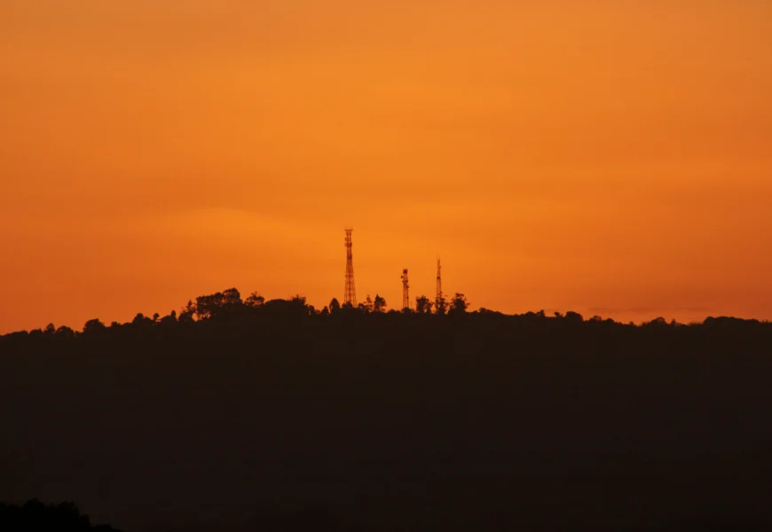 silhouette of trees during sunset