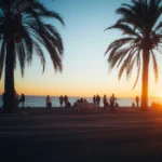 The sun is setting on the beach with palm trees