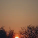 The sun is setting over the trees in the distance