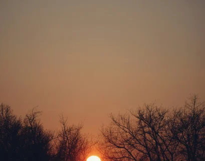 The sun is setting over the trees in the distance