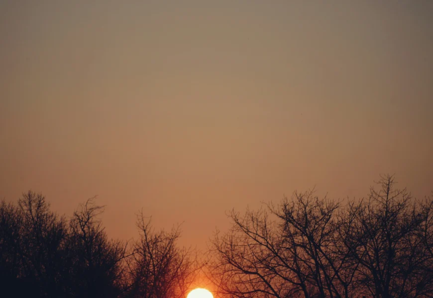 The sun is setting over the trees in the distance