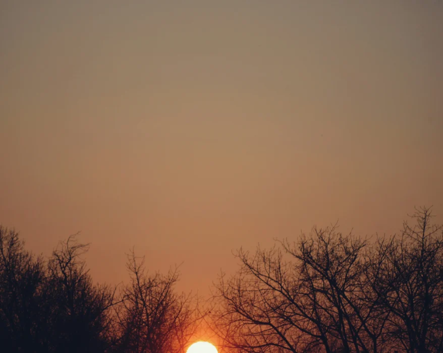 The sun is setting over the trees in the distance